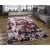 Ber. SANAT ACRYLIC 1708 lila szürke 240 x 340 cm modern szőnyeg
