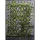 Ber. JAWA 5128-A151A szürke zöld 60 x 100 cm modern szőnyeg