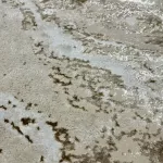 Den. Sunset new 0839 Bézs 200x290cm modern szőnyeg