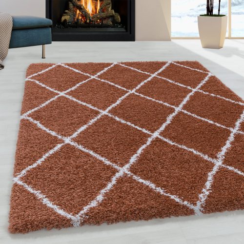 Bolti 9. ALVOR 3401 TERRA 140 X 200 szőnyeg