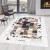 Ay. FIESTA 4306 WHITE 80X150 szőnyeg