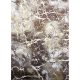 Bolti 21. Ber. Zara 9651 bézs 120x180cm Szőnyeg