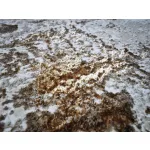 Den. Sunset 8385 Bézs-Arany 200x290cm modern szőnyeg