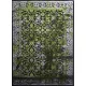 Ber. JAWA 5128-A151A szürke zöld 60 x 100 cm modern szőnyeg