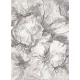 Ber. VERA 4441 szürke 240 x 330cm modern szőnyeg
