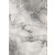 Ber. VERA 4442 szürke 180 x 260cm modern szőnyeg