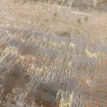ASY Aurora 200x290cm Dune szőnyeg AU01