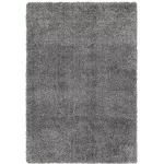 ASY Ritchie 080x150cm Grey Rug