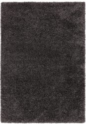 ASY Ritchie 160x230cm Charcoal Rug