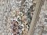 Bolti 7. Szultán bézs 0156 60x220cm, Klasszikus Szőnyeg