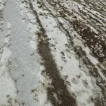 TOP! Den. Sunset new 0838 Bézs 120x170cm modern szőnyeg