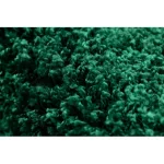 Kab. Szőnyeg SOFFI kör shaggy 2cm üveg zöld kör 160 cm