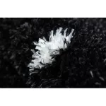 Kab. Szőnyeg FLUFFY 2370 shaggy pontok - antracit / fehér 140x190 cm