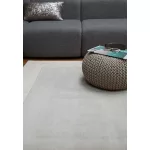 ASY pl Ascot szőnyeg 160x230cm Silver