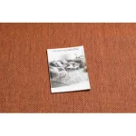 Kab. Fonott sizal flat szőnyeg 48663/120 terrakotta SIMA 120x170 cm