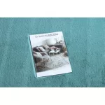 Kab. Szőnyeg BUNNY aqua kék 180x270 cm