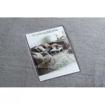 Kab. Szőnyeg BUNNY kör ezüst kör 160 cm