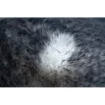 Kab. Modern, mosható szőnyeg LAPIN shaggy, csúszásgátló elefántcsont / fekete 180x270 cm
