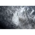 Kab. Modern LAPIN kör shaggy, mosószőnyeg, csúszásgátló elefántcsont / fekete kör 100 cm