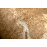 Kab. Modern LAPIN kör shaggy, mosószőnyeg, csúszásgátló elefántcsont / barna kör 100 cm