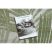 Fonott sizal szőnyeg SION pálmalevelek, tropikus 2837 lapos szövött ecru / zöld 60x200 cm