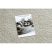 Szőnyeg BERBER 9000 krém Rojt shaggy 180x270 cm