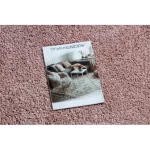 Kab. Szőnyeg BERBER 9000 rózsaszín Rojt shaggy 200x290 cm