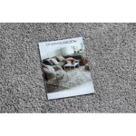 Kab. Szőnyeg BERBER 9000 kör szürke Rojt shaggy kör 160 cm