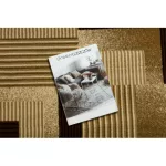 Kab. Royal szőnyeg G2069 Geometriai, vonalak - krém 250x350 cm