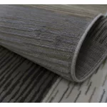 Ber. LOTUS 9303 bézs 60 x 90 cm szőnyeg