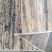 Szőnyeg DY Milas Soft Shrink PRA 50A-BM - wielokolorowy 200 x 290 cm szőnyeg