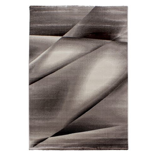 Ay. MIAMI 6590 140 x 200 cm barna Modern szőnyeg