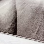 Ay. MIAMI 6590 140 x 200 cm barna Modern szőnyeg