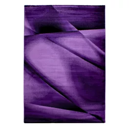 Ay. MIAMI 6590 140 x 200 cm lila Modern szőnyeg