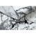 Modern COZY szőnyeg 8871 Marble, Márvány  - szürke 160x220 cm