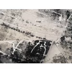 Ber. OPERA 8080 szürke 280 x 370 cm szőnyeg