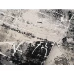 Ber. OPERA 8080 szürke 200 x 290 cm szőnyeg