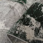 Szőnyeg Dy. Otto 04 szürke-zöld 80 x 150 cm