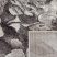 DY Panamero 16 - Brązowy 120 x 170 cm szőnyeg