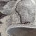 DY Panamero 16 - Szary 160 x 220 cm szőnyeg