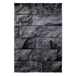 Ay. PARMA 9250 240 x 340 cm fekete Modern szőnyeg