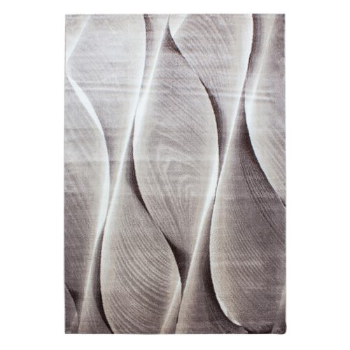 Ay. PARMA 9310 240 x 340 cm barna Modern szőnyeg