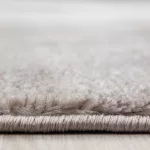 Ay. PARMA 9310 240 x 340 cm barna Modern szőnyeg