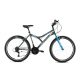 Hegyi kerékpár Capriolo DIAVOLO DX 600 26"/18HT szürke-kék 17”