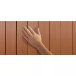 Keter Darwin 6 x 4 kerti tároló, barna