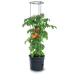 Prosperplast TOMATO GROWER kaspó paradicsom termesztésre 29,5 cm antracit