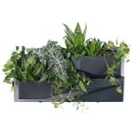 Prosperplast CASCADE GARDEN WALL 2 db-os kaspó készlet antracit