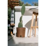 Prosperplast FURU ROUND LOW ECO WOOD kaspó 30 cm naturo