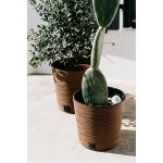 Prosperplast FURU ROUND LOW ECO WOOD kaspó 30 cm naturo