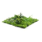 Mű zöld fal G21 Listo River, 50×50 cm